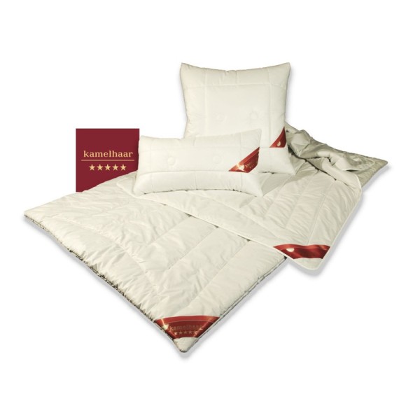 Premium Kamelhaar Duo-Warm Steppbett Winterbett Bettdecke 155x220 cm 1900g